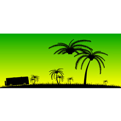 coconut palms in the nature color vector