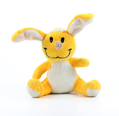 bunny isolated on white background