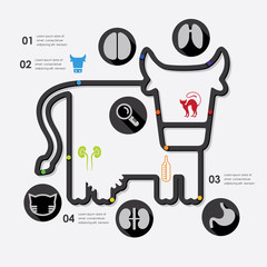 veterinary infographic