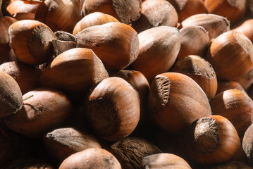 closeup of hazelnuts