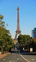 View on Eiffel Tower and urban street in Paris, France