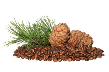 Fototapeta premium Cedar nuts and cones isolated on white background