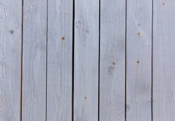 Fototapeta premium wood texture