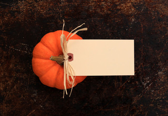Blank cream tag on top of a pumpkin - 71227973