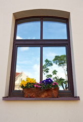 Window box with flowers  and reflection