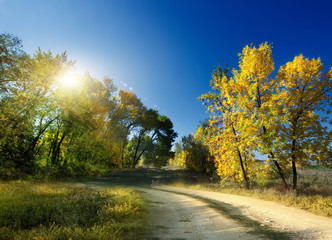 Autumn Landscape. road