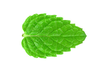 mint © slawek_zelasko