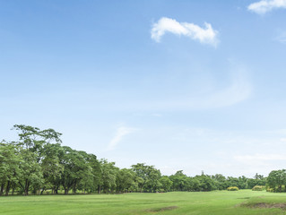Green park blue sky