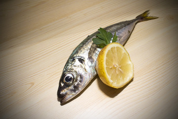 fresh mackerel