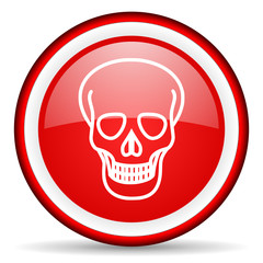 skull web icon