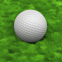 Golf ball on the grass
