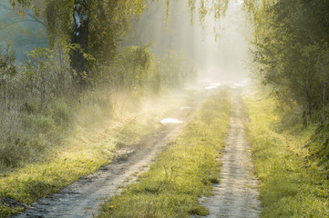 droga wiejska w świetle mglistego poranka