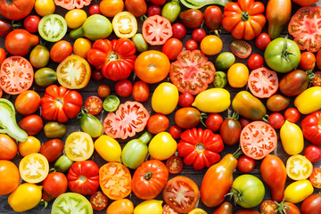 colorful tomatoes