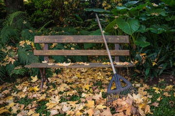 Rake over a bench seasonal job, autumn.