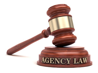 Agency law & Gavel - obrazy, fototapety, plakaty