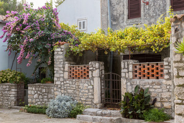 Fototapeta na wymiar Façade et jardin dans le village
