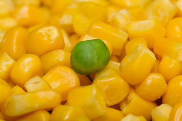 Steamed Organic Vegetable Medly with Pea and Corn