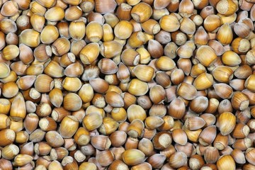 Haselnüsse als Hintergrundbild