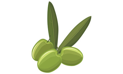 Green Olives, vector illustration