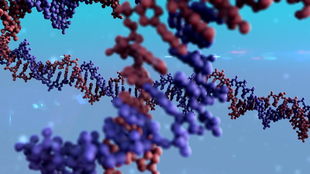 DNA