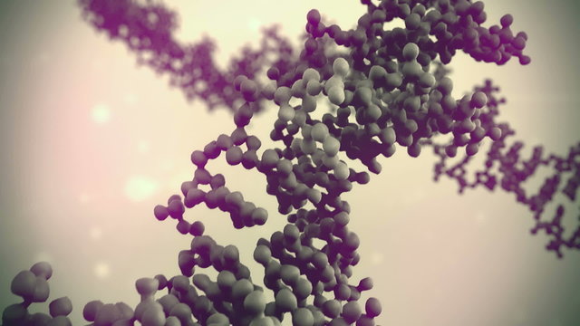 Molecule DNA