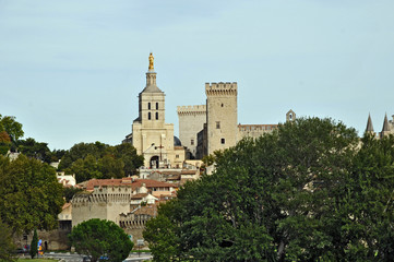 Fototapeta na wymiar Avignone, la citta' vecchia