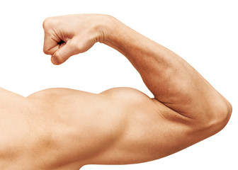 Strong male arm shows biceps. Close-up photo isolated on white - obrazy, fototapety, plakaty
