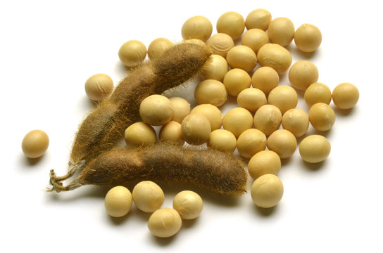 russian по низкой цене! russian с фотографиями, картинки на сои органических изо