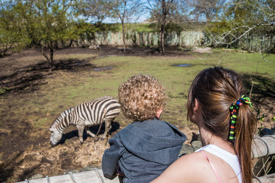 Mom and Son lokking animals at the Zoo.