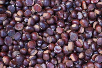 castagna toscana stesa