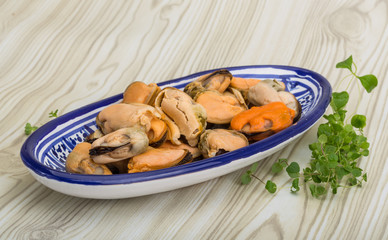 Mussels