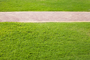 Green grass and paved lane in the park