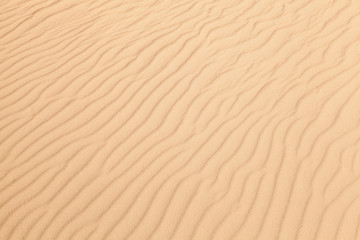 Fototapeta na wymiar Background photo texture of white sand with waves