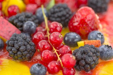 more, ribes, mirtillo, lampone e fragoline di bosco
