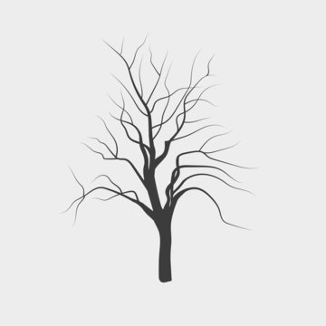 Vector drawing silhouettes of leafless tree