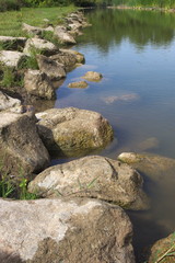 river rock stone water grass forest nature landscape