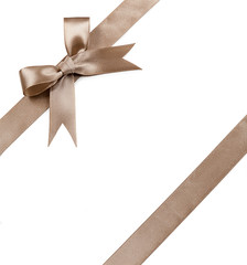 Fototapeta premium Brown bow isolated on white background