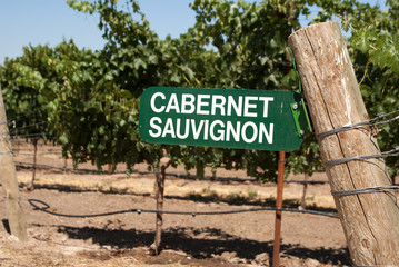Sign for Cabernet Sauvignon grapes