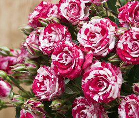 bouquet of roses on wooden table