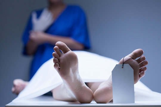 Worker Of Morgue During Job