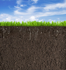 Soil or dirt section with grass under sky as background