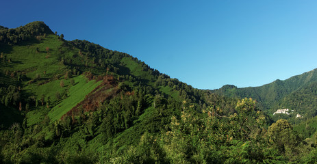 Fototapeta na wymiar Montagne de Costa verde en Corse