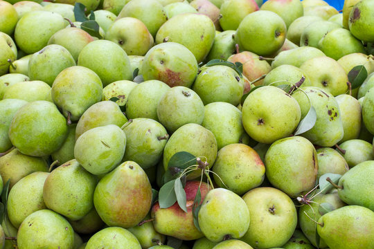 Several green pears
