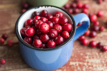 cranberry