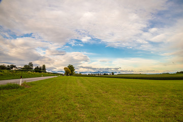 road through the fields