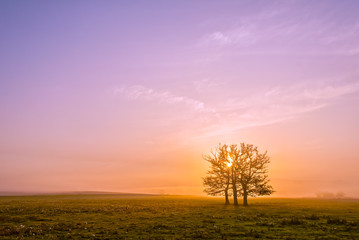 Fototapeta premium at dawn