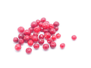 cranberries on white background