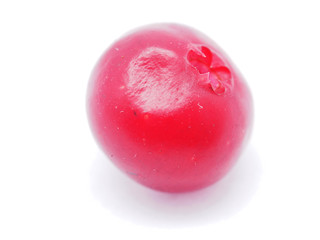 cranberries on white background