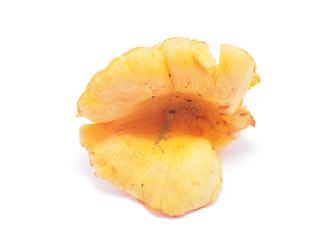 chanterelle mushroom on white background