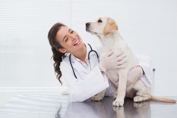 Obraz na płótnie Canvas Smiling veterinarian examining a cute dog